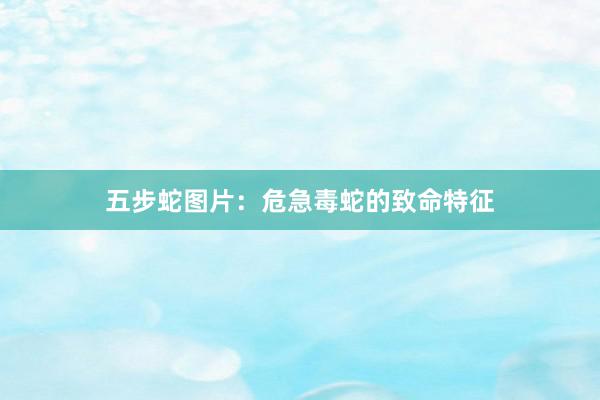 五步蛇图片：危急毒蛇的致命特征