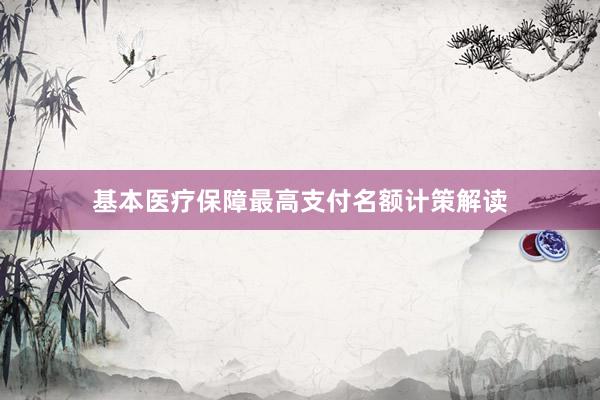 基本医疗保障最高支付名额计策解读