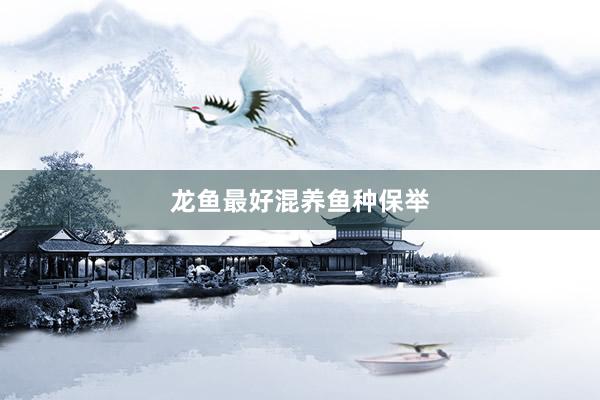 龙鱼最好混养鱼种保举